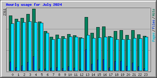 Hourly usage for July 2024