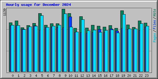 Hourly usage for December 2024