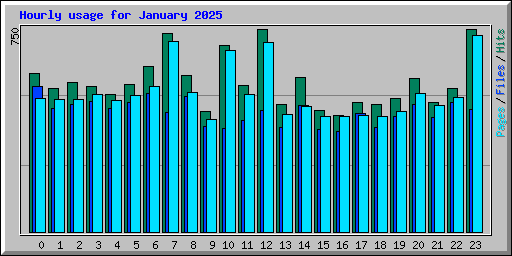 Hourly usage for January 2025